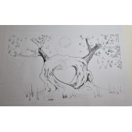 "CUOR D'ULIVO" bottiglia 0,50 lt olio extravergine d'oliva camp.2025/2026 NOVELLO