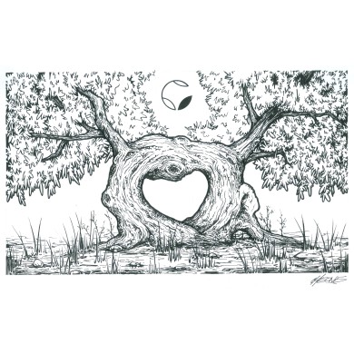 "CUOR D'ULIVO" bottiglia 0,50 lt olio extravergine d'oliva camp.2024/2025