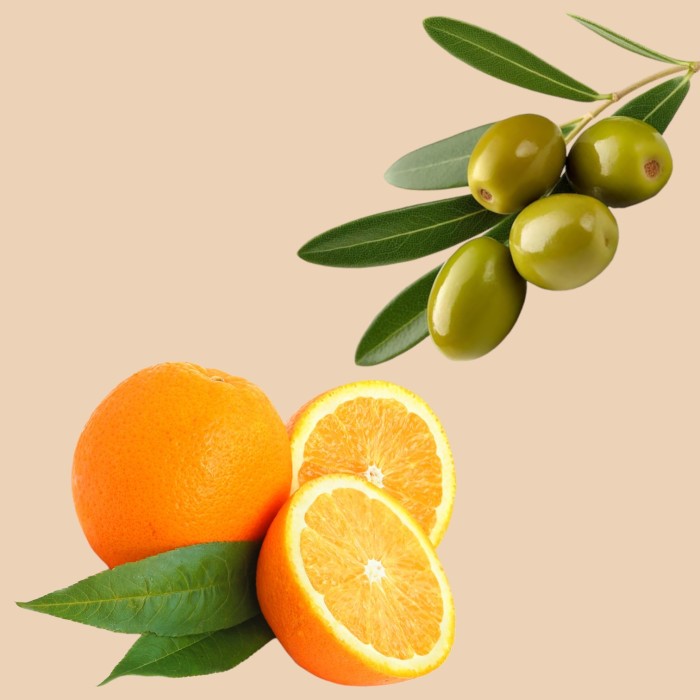 Condimento - estrazione di olive e arancia 0,25 lt Condimento - estrazione di olive e arancia 0,25 lt