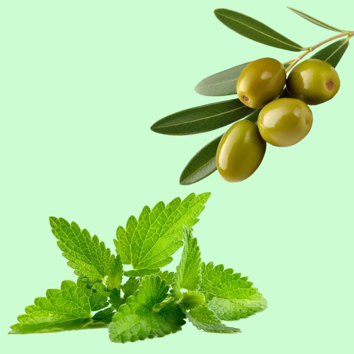 Condimento - estrazione di olive e menta 0,25 lt