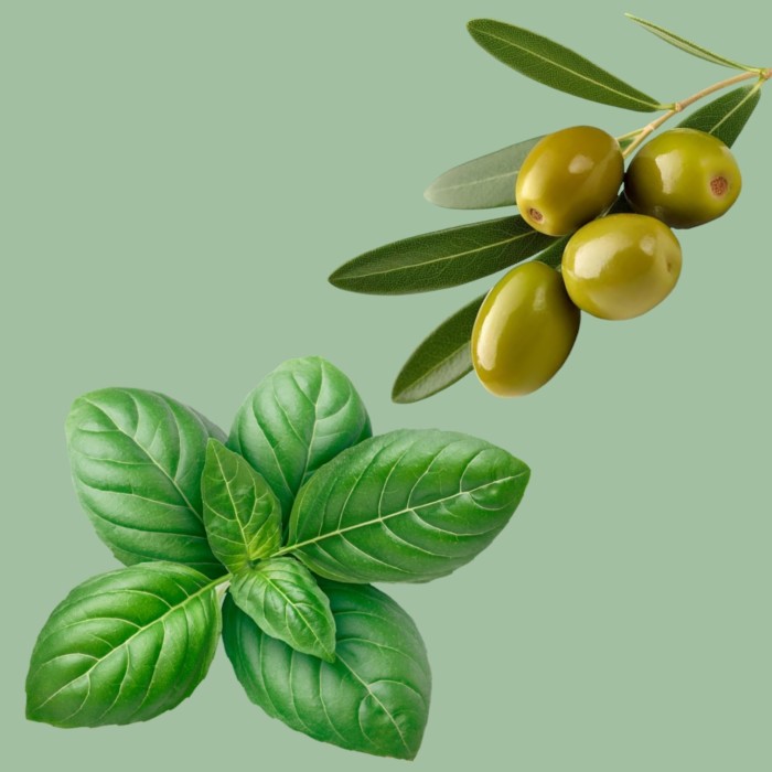 Condimento - estrazione di olive e basilico 0,25 lt Condimento - estrazione di olive e basilico 0,25 lt