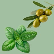 Condimento - estrazione di olive e basilico 0,25 lt Condimento - estrazione di olive e basilico 0,25 lt