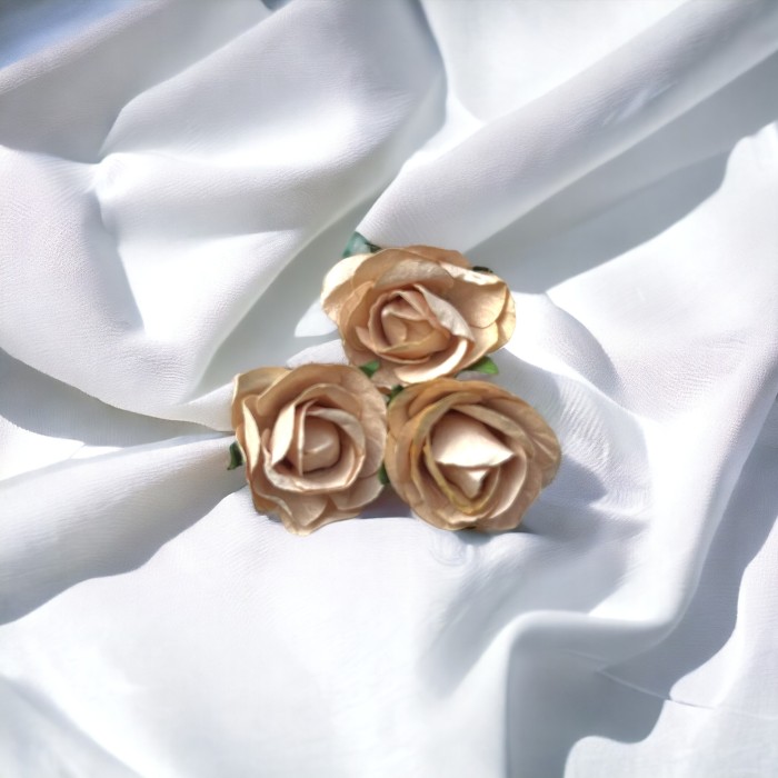 Bomboniera Cofanetto BIO / D.O.P. personalizzabile