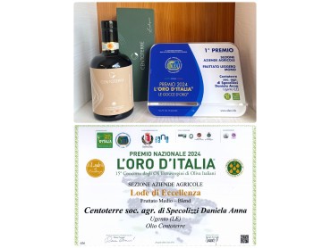 Le nostre premiazioni 2024! Le nostre premiazioni 2024!