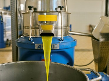 L’olio extravergine d’oliva pugliese, il prodotto più imitato di tutti L’olio extravergine d’oliva pugliese, il prodotto più imitato di tutti